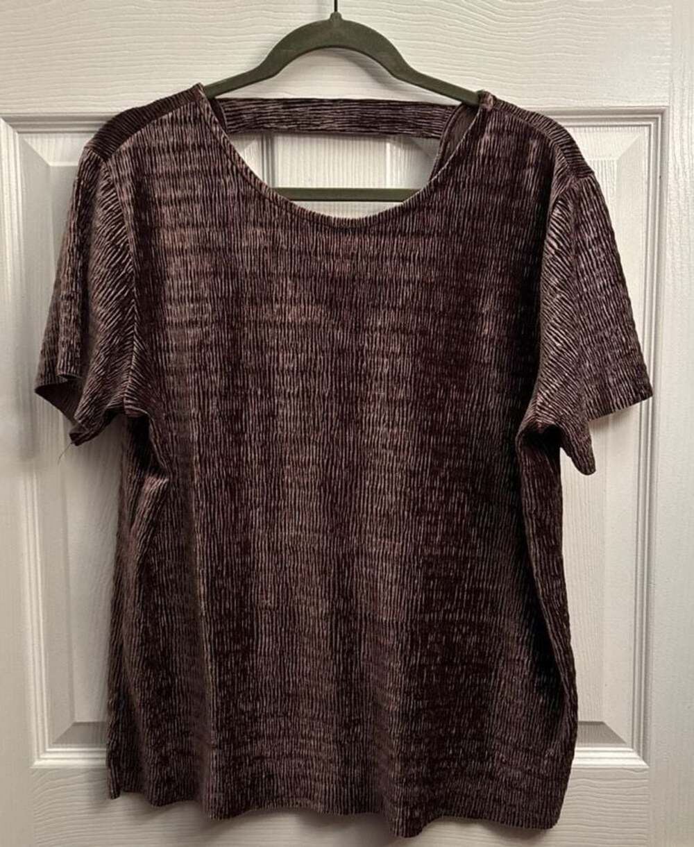 Fourteenth Place Crinkle Velvet Short Sleeve Top Size M